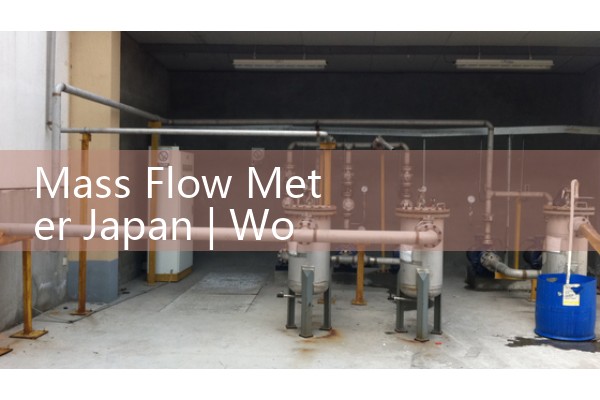 Quality flow meter in Japan